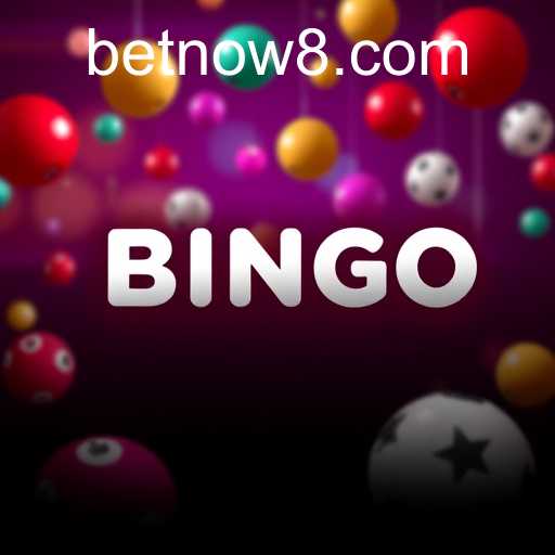 Exploring the Online Bingo Boom with BetNow